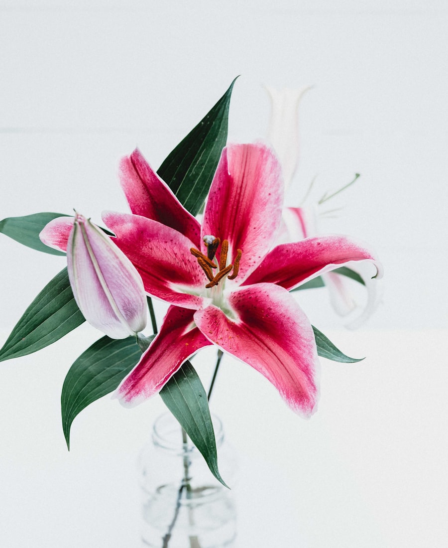Get well soon lilies